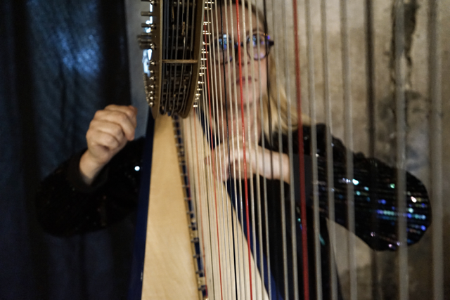 Delphine Douillard harpe