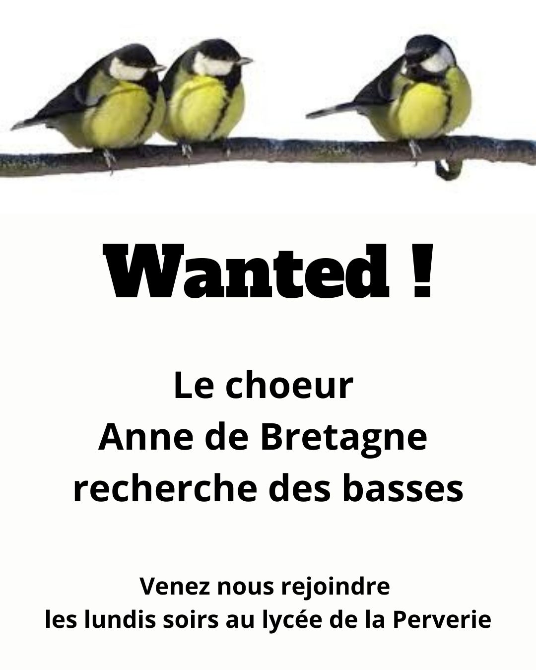 affiche_basses_mésanges.jpg